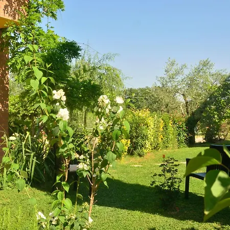 Agroturismo Fattoria Antonella San Gimignano