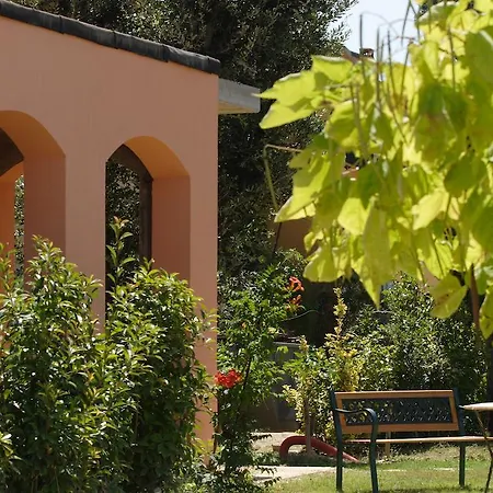 Fattoria Antonella San Gimignano